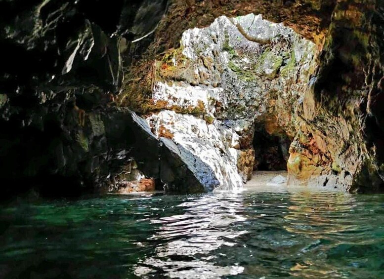 Picture 2 for Activity Plavnik Island: A private half day boat tour