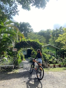 Private Bike Tour Waterfall, Views & Local Life