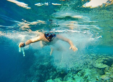 Snorkelling Trip on Yacht With Lunch From Cairo