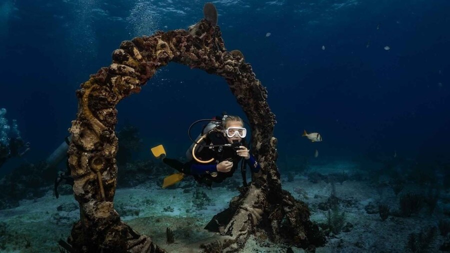 Isla Mujeres: MUSA and the Manchones Reef: 2 Tank Dive Tour