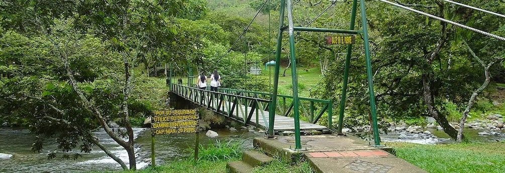 Picture 2 for Activity Cali: Pance River & Pico de Loro Trek