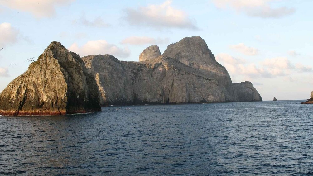 Picture 2 for Activity Diving to Malpelo’s Sanctuary