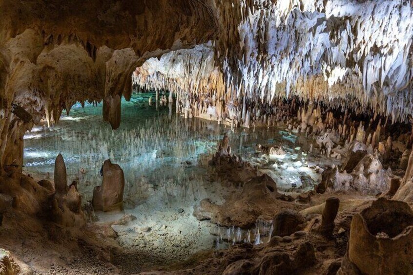 Cayman Ultimate Tour: Stingrays, Starfish Point and Crystal Caves