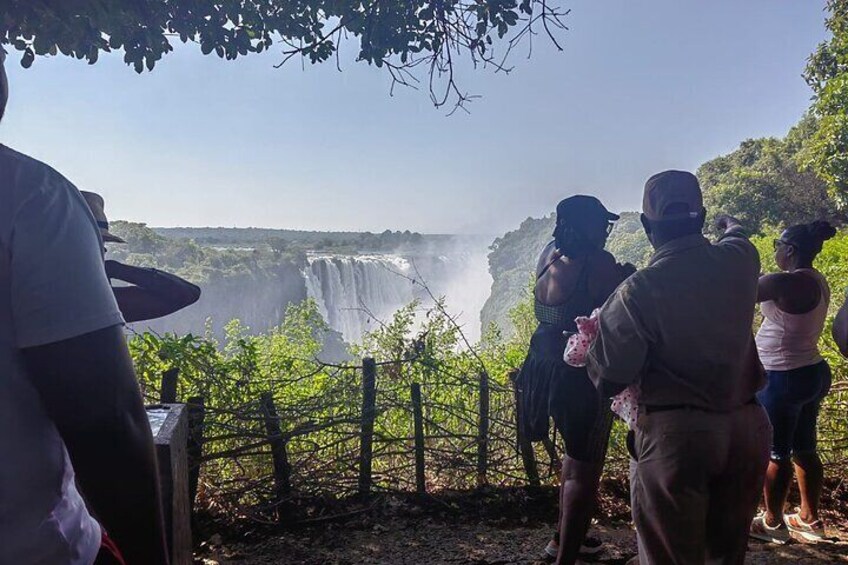 Victoria Falls