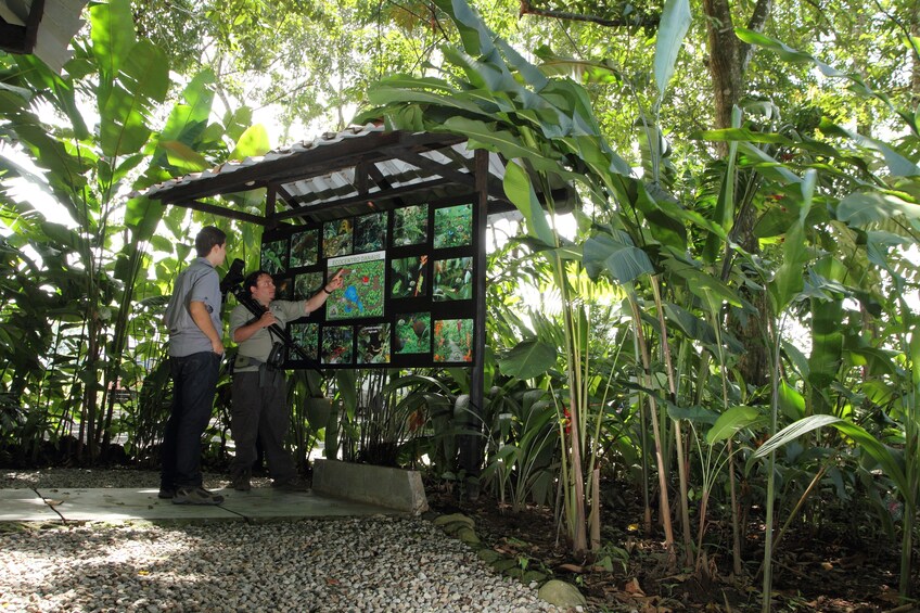 Pair of men consulting map on forest path in Costa Rica