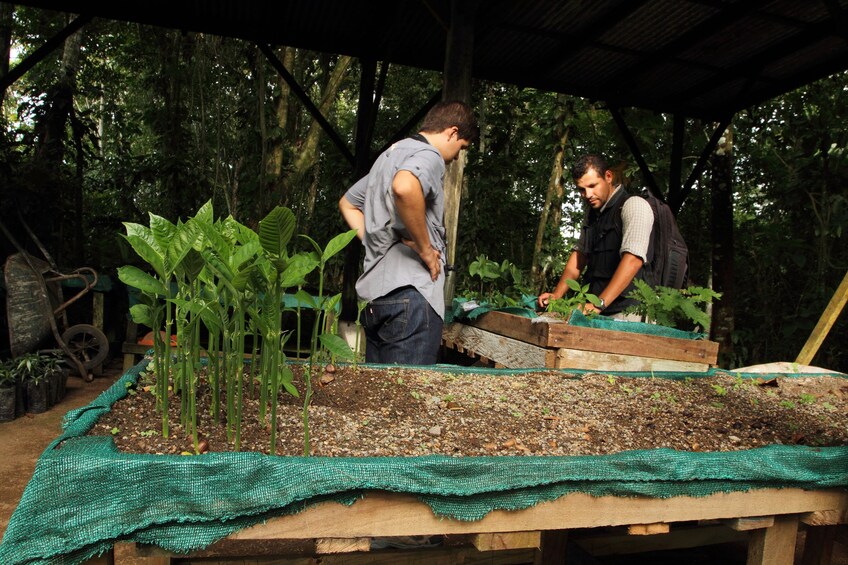 Men gardening in Costa Rica