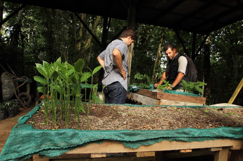 Men gardening in Costa Rica