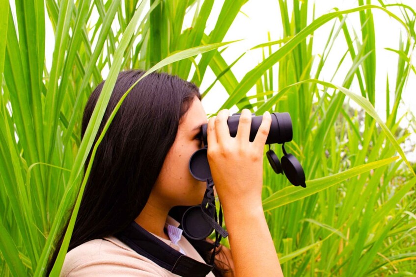 Picture 3 for Activity Cali: Birdwatching in Dapa