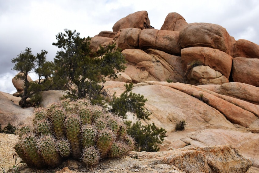 Hidden Valley Self-Guided Walking Audio Tour