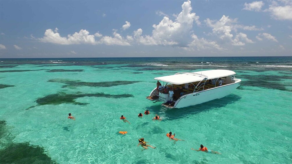 Picture 4 for Activity Contoy Island & Isla Mujeres From Cancún with transport