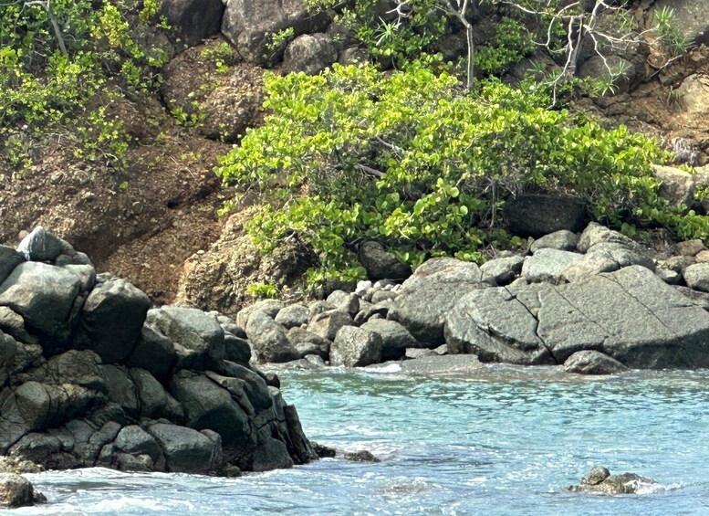 Picture 1 for Activity US Virgin Islands: Jeep Surfari Tour Guide