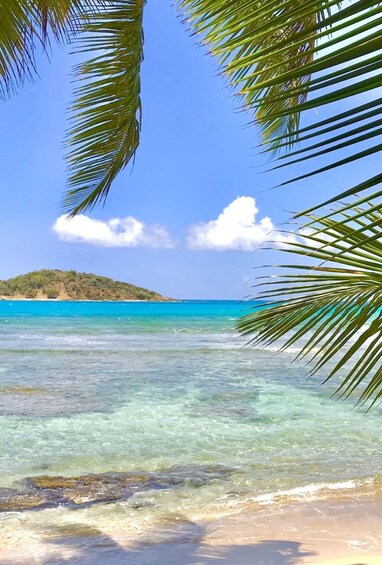 Picture 4 for Activity US Virgin Islands: Jeep Surfari Tour Guide