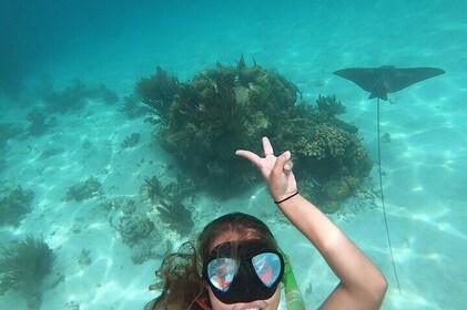 Private Snorkel Charter. 34ft Express Boat.