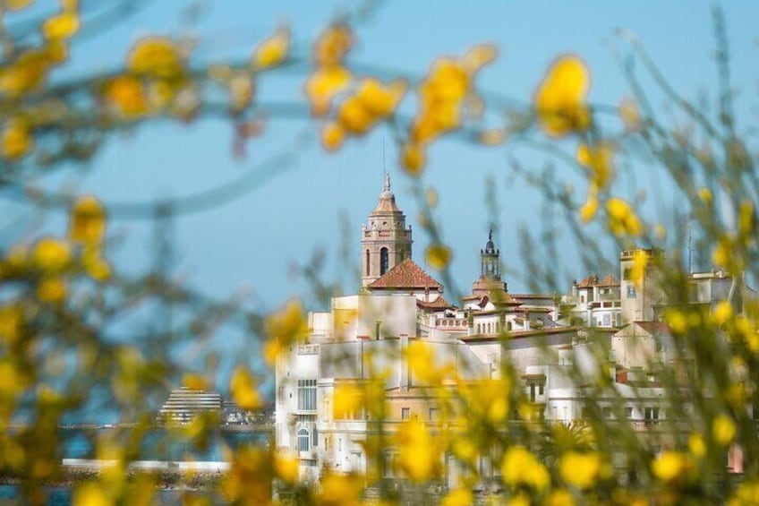 Flower Panorama