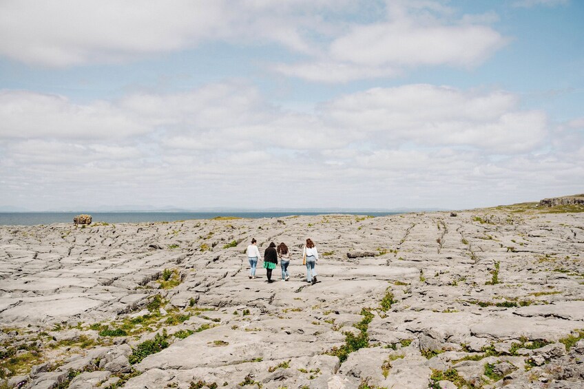 Small Group Cliffs of Moher & Galway Day Trip from Dublin