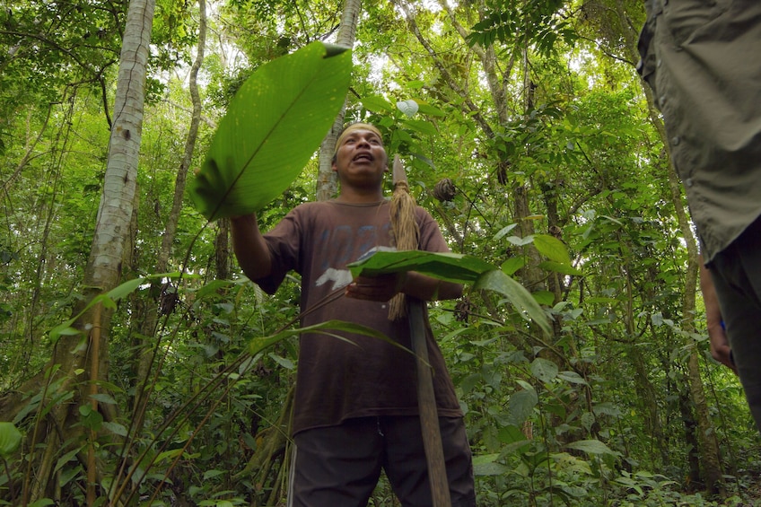 Man in rainforest in Costa Rica