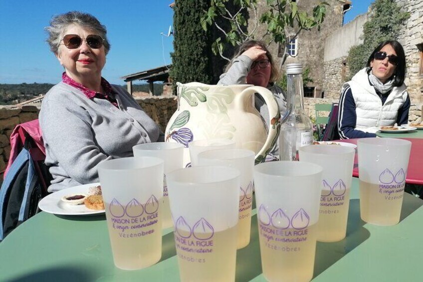 Food Tour in the Southern French Countryside from Nîmes