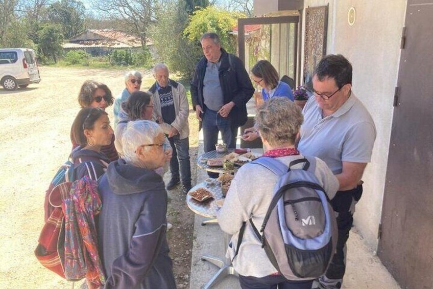 Food Tour in the Southern French Countryside from Nîmes