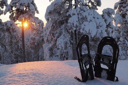 Explore Winter Woods: Snowshoe walk with local Biologist