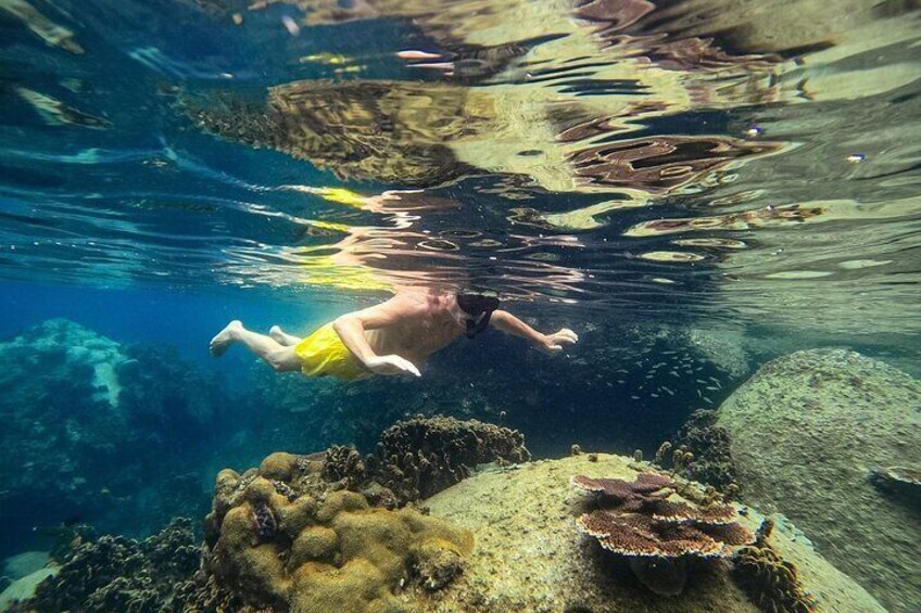 Koh Nang Yuan and Koh Tao 5 Point Snorkeling Tour