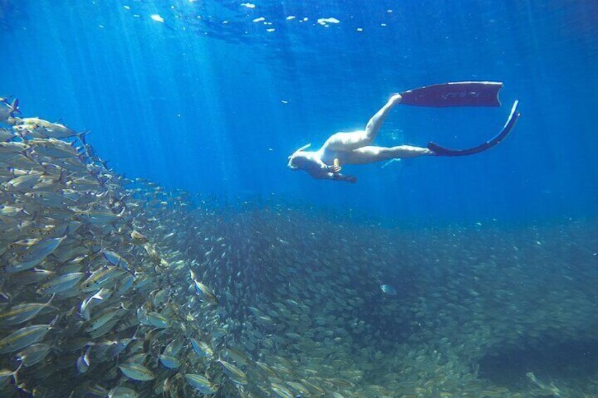 Koh Nang Yuan and Koh Tao 5 Point Snorkeling Tour