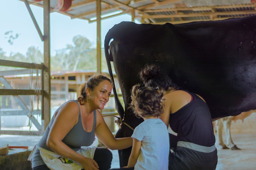 Campesino Farm tours Experience Traditional Costa Rican Tour