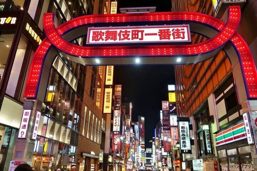 Tokyo Night Walking Tour