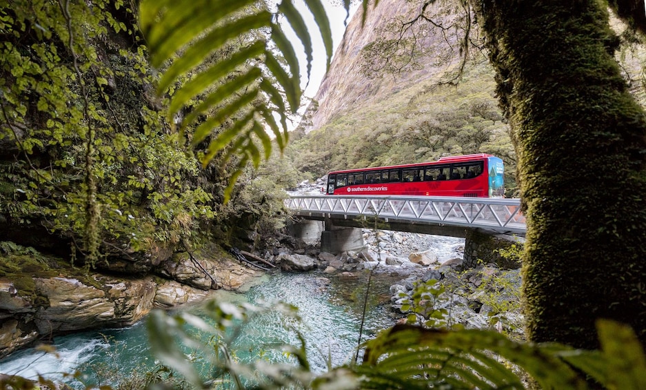 Glass-roofed coach crossing a bridge on the Milford Sound tour