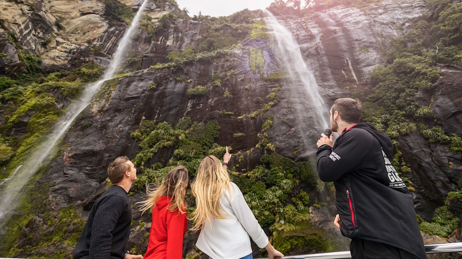 Milford Sound Coach & Nature Cruise ex Queenstown with Lunch