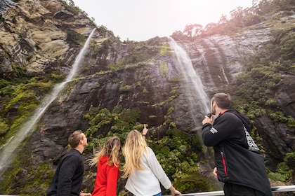 Milford Sound Full-Day Experience with Nature Cruise & Lunch ex Queenstown