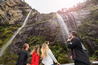 Milford Sound heldagsupplevelse med naturkryssning och lunch ex Queenstown