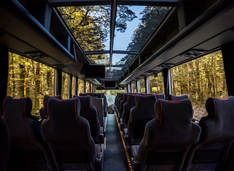 Aboard the Milford Sound tour coach