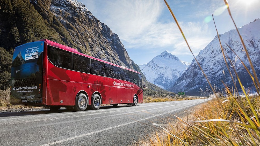 milford sound coach & nature cruise ex queenstown