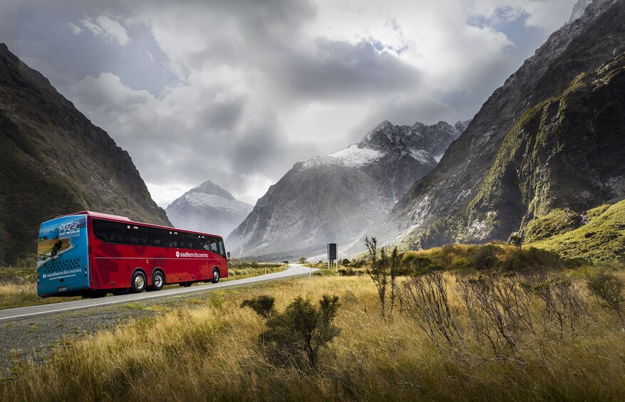 Milford Sound Coach & Nature Cruise with Flyback and Lunch
