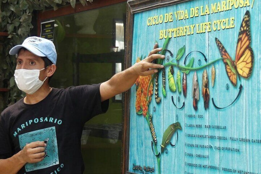 Educational Tour at the Butterfly Sanctuary
