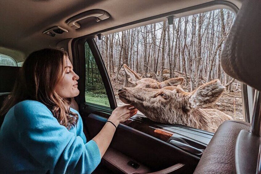 Ottawa Parc Omega Private Tour with Hotel Transfer