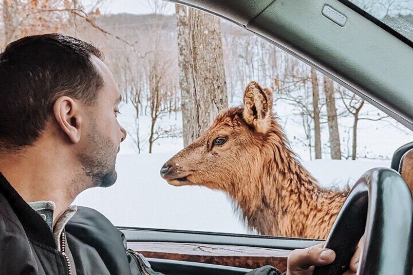 Ottawa Parc Omega Private Tour with Hotel Transfer