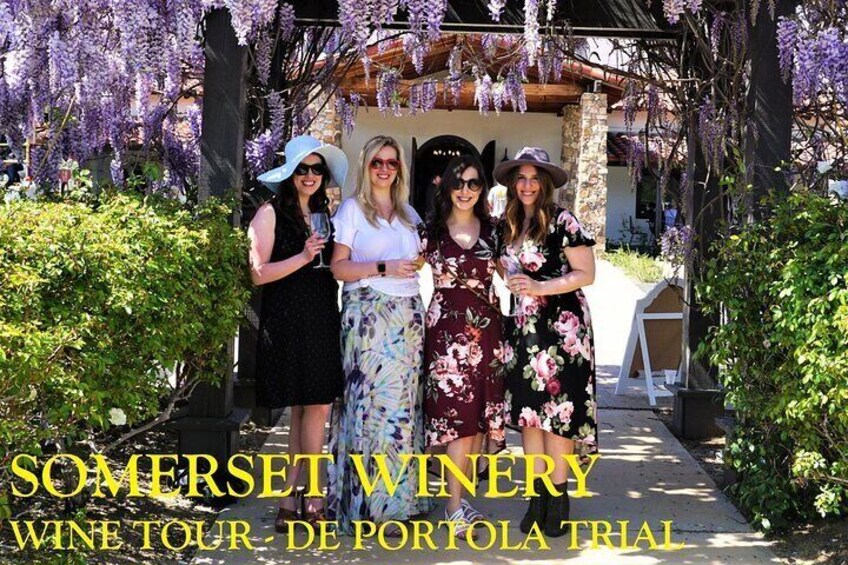 DIY Wine Tour (Public Tour ~ Transportation Only)