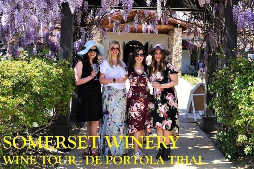 DIY Wine Tour (Public Tour ~ Transportation Only)