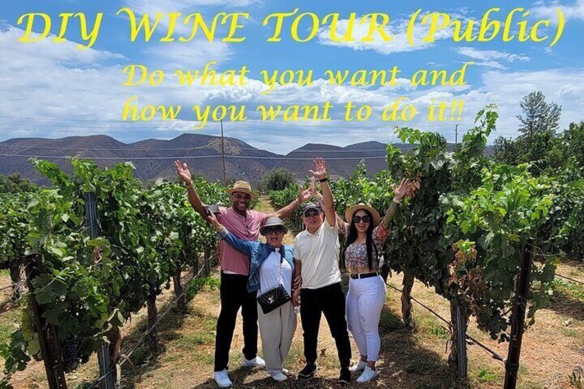 DIY Wine Tour (Public Tour ~ Transportation Only)