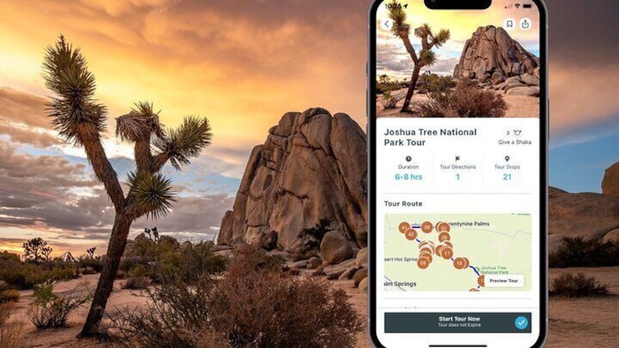 Self Guided Joshua Tree National Park Driving Tour