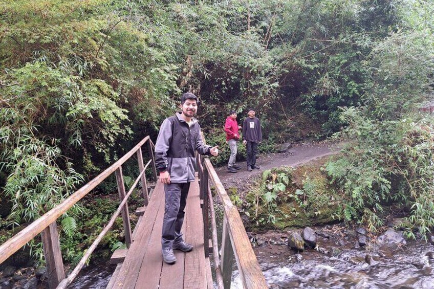 Full Day Shared Tour to Waterfalls and Llanquihue Lake Route