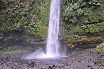 Full Day Private Tour to Waterfalls and Llanquihue Lake Route