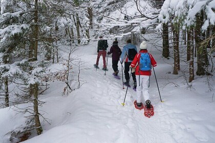 Private Tongariro Overnight Snowshoeing Tour