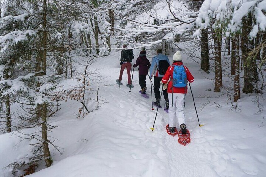 Private Tongariro Overnight Snowshoeing Tour