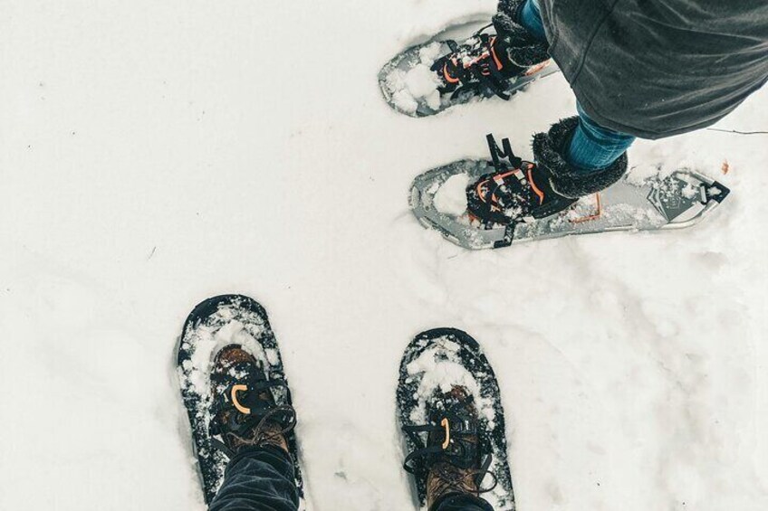Private Tongariro Overnight Snowshoeing Tour