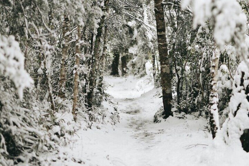 Private Tongariro Overnight Snowshoeing Tour