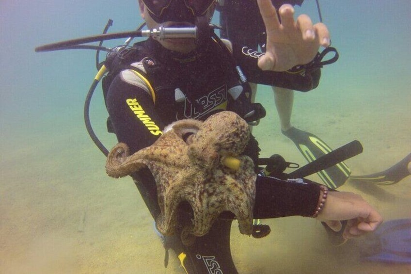 Scuba Diving Experience in Antalya