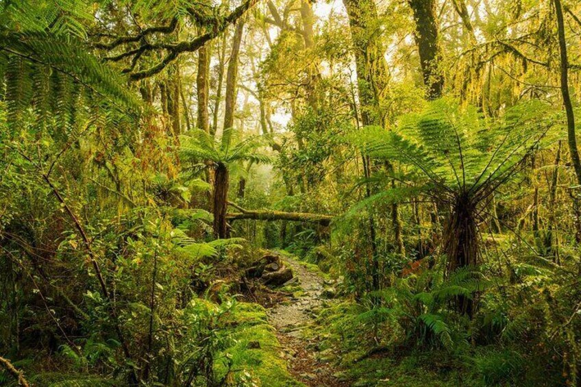 2-day Private Overnight Hurunui River Hot Springs Hike or Bike