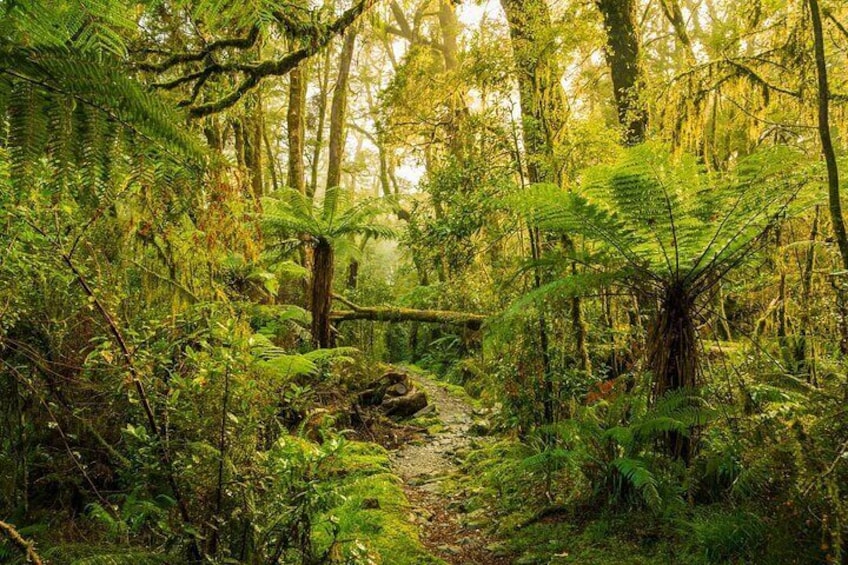 2-day Private Overnight Hurunui River Hot Springs Hike or Bike